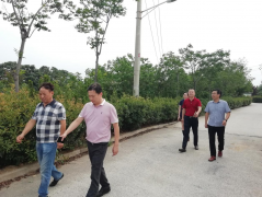【鄭投產(chǎn)業(yè)園要聞】約克動漫一行赴虎牢關(guān)實地參觀，推進公司文創(chuàng)板塊發(fā)展